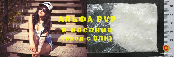 стафф Кодинск
