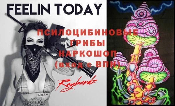 МДМА Козельск