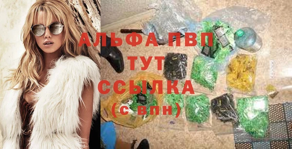 стафф Кодинск