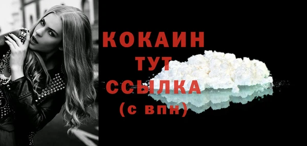 стафф Кодинск