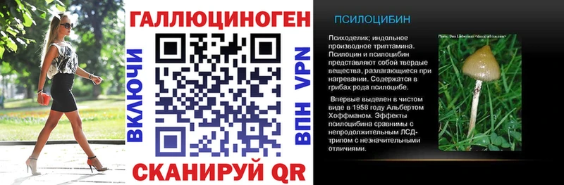 Псилоцибиновые грибы Psilocybe  Купить  Ступино 